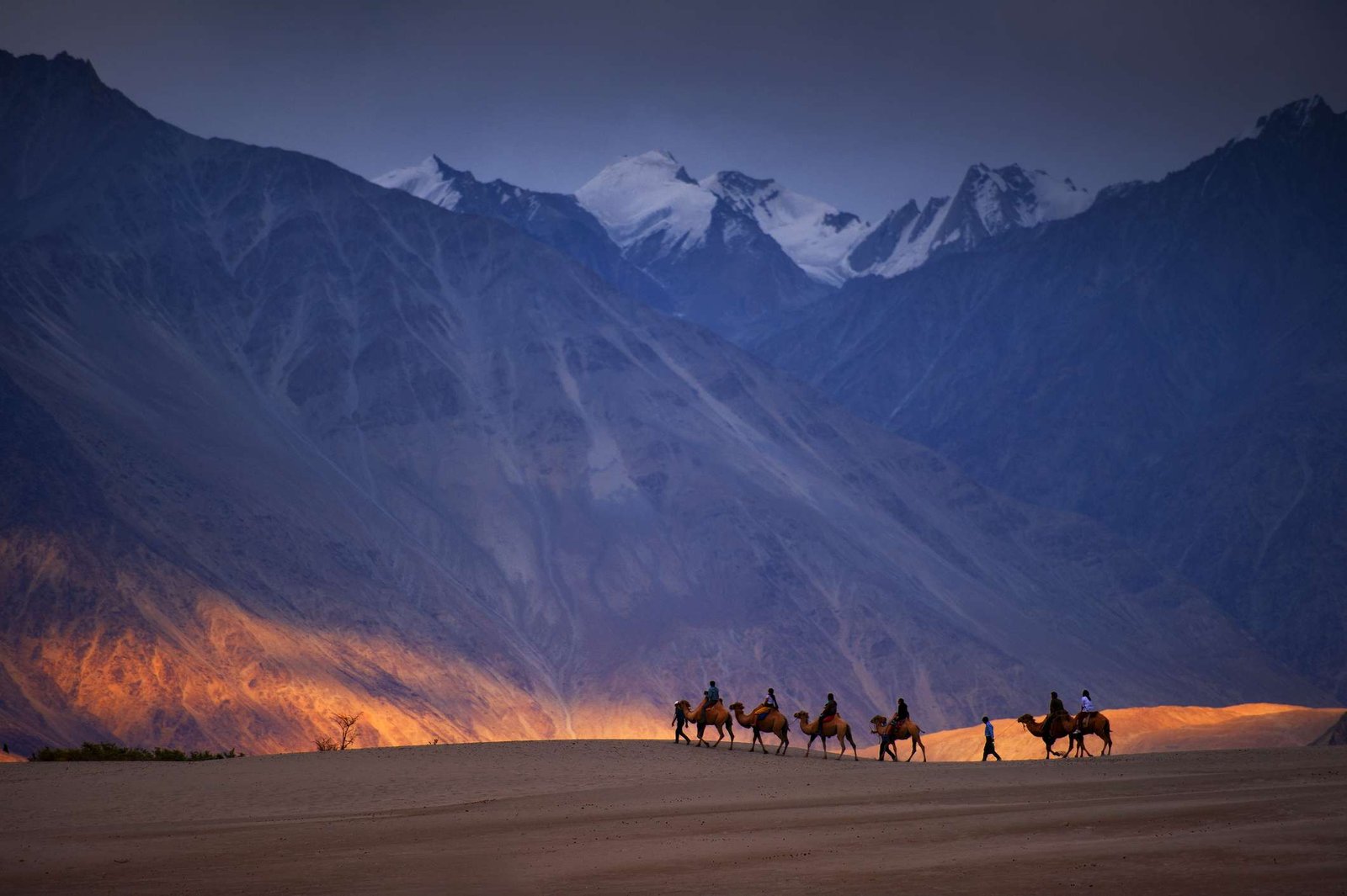 Nubra Valley